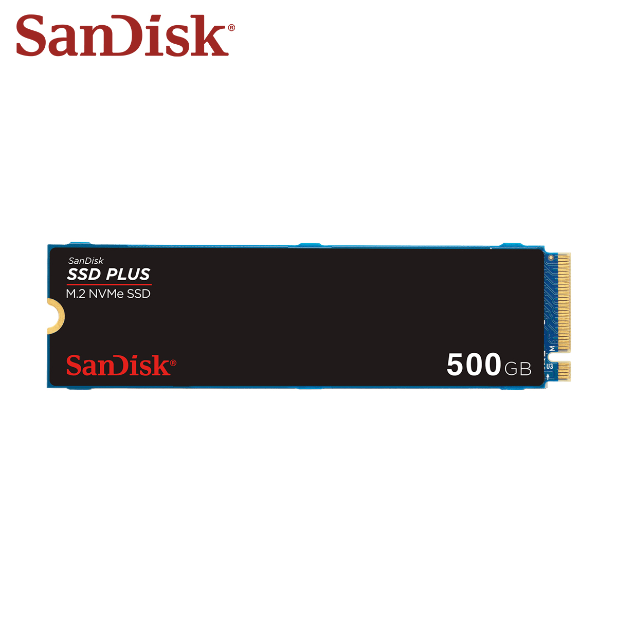 Твердотельный накопитель SanDi – обзор и цена Ssd 500Gb