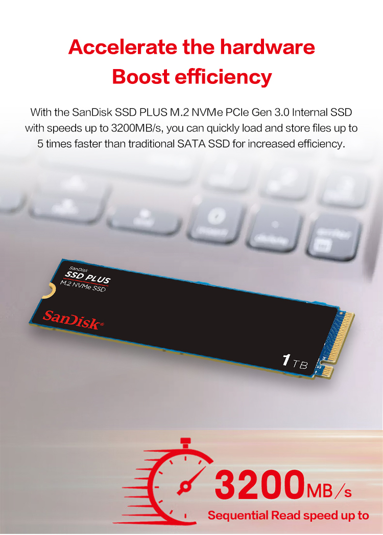 Твердотельный накопитель SanDi – обзор и цена Ssd 500Gb