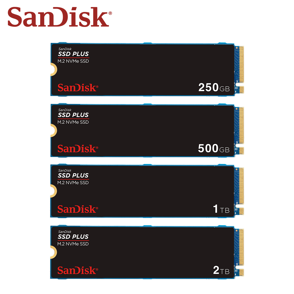 Твердотельный накопитель SanDi – обзор и цена Ssd 500Gb